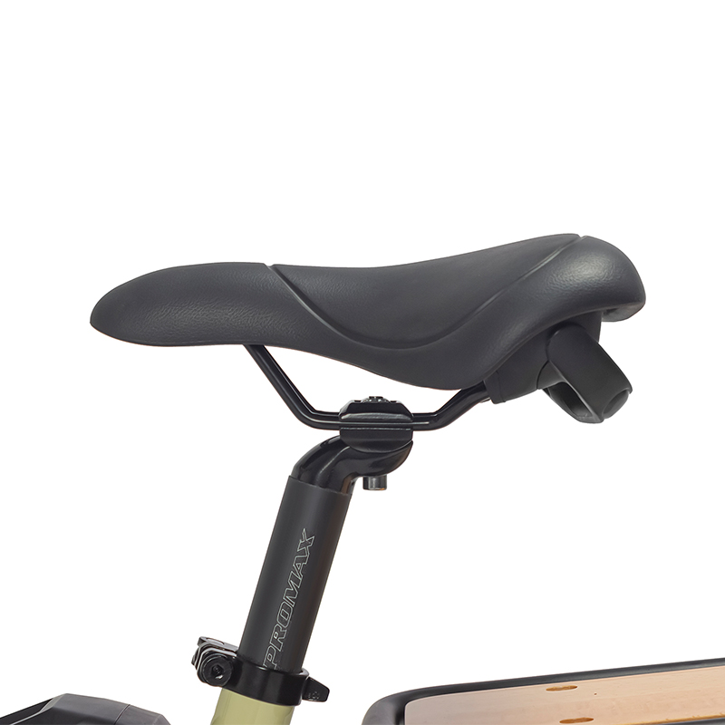 Why Choose This eBike