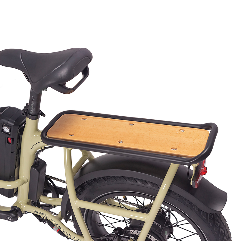 Why Choose This eBike