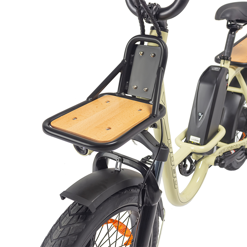 Why Choose This eBike
