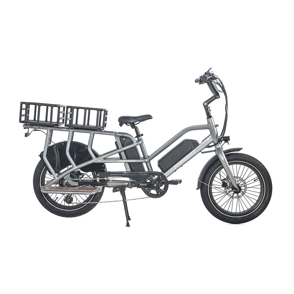 Family Electric Bike Family Electric Bike