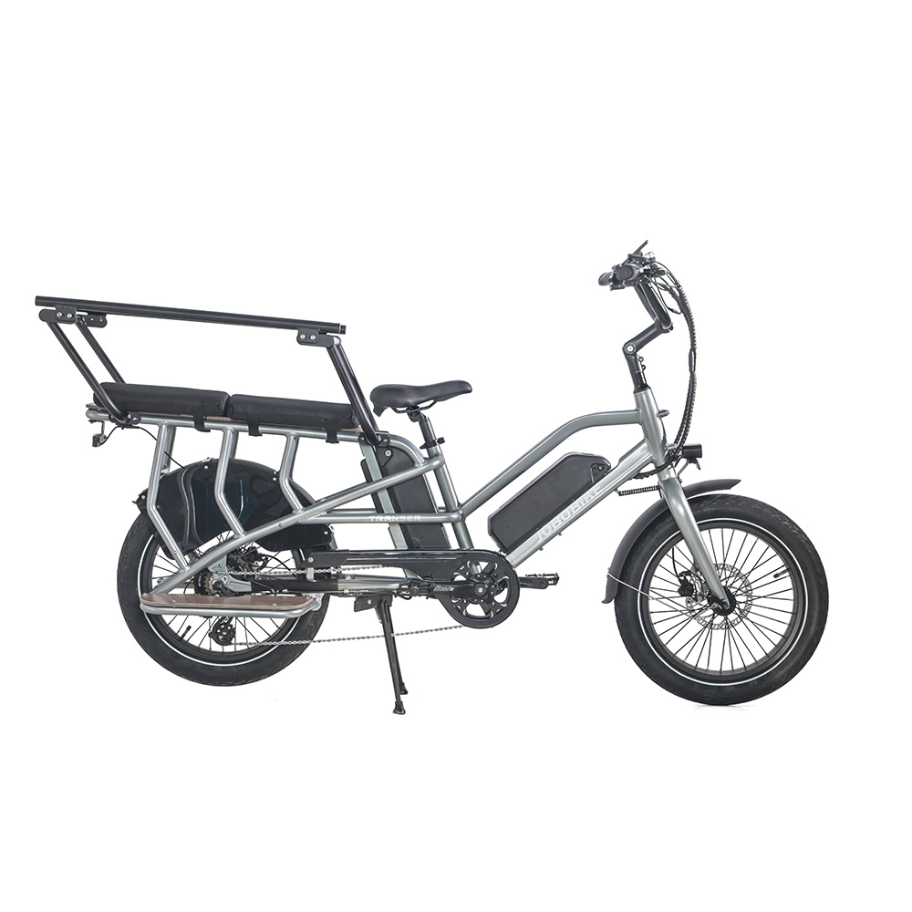 Family Electric Bike Family Electric Bike