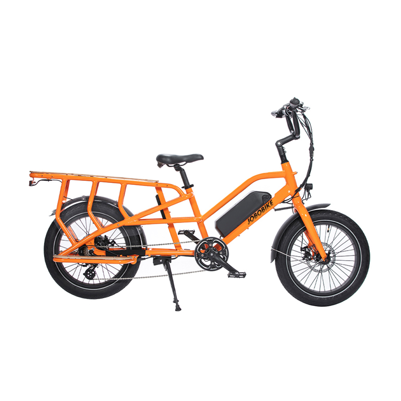 Family Electric Bike Family Electric Bike