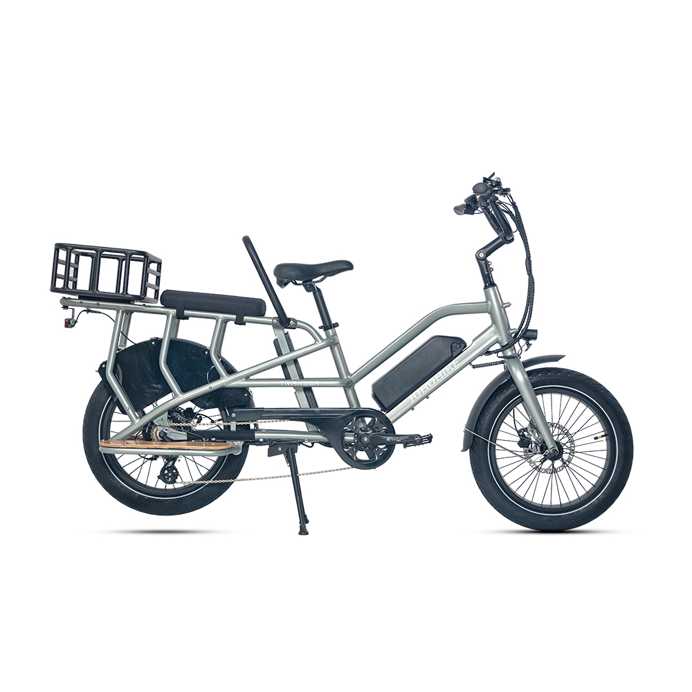 Family Electric Bike Family Electric Bike