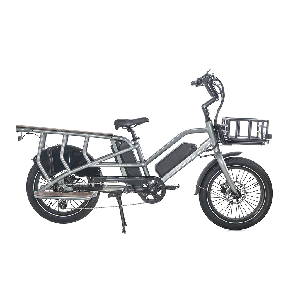 Family Electric Bike Family Electric Bike