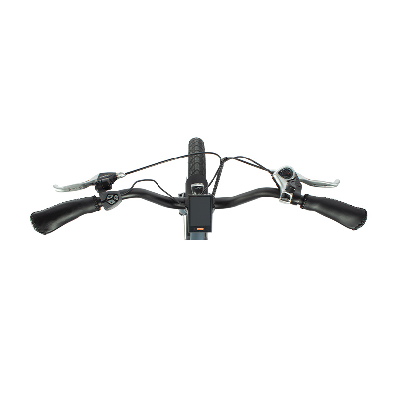 Why Choose This eBike