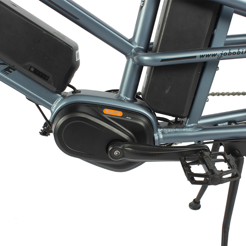 Why Choose This eBike