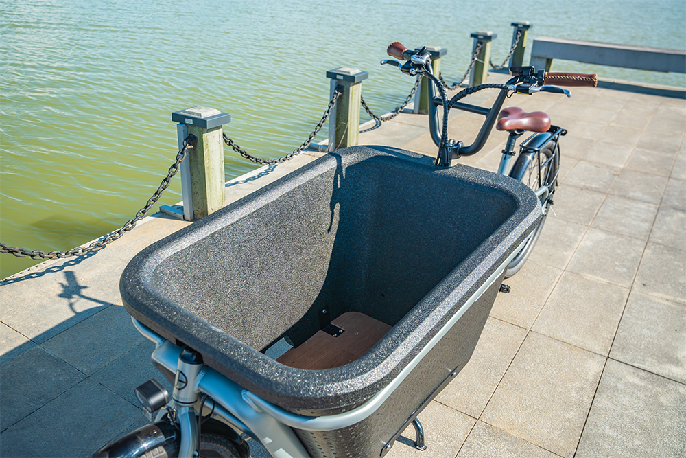 Electric Bike Transport: Revolutionizing City Travel with Eco-Friendly Adventures