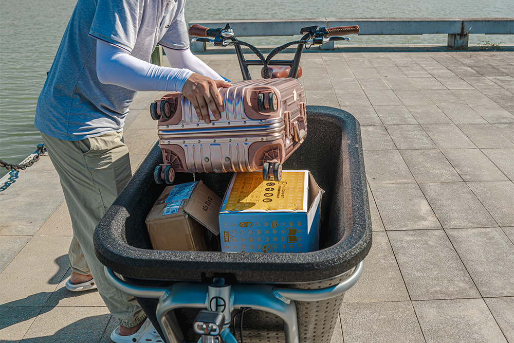 Why Choose This eBike