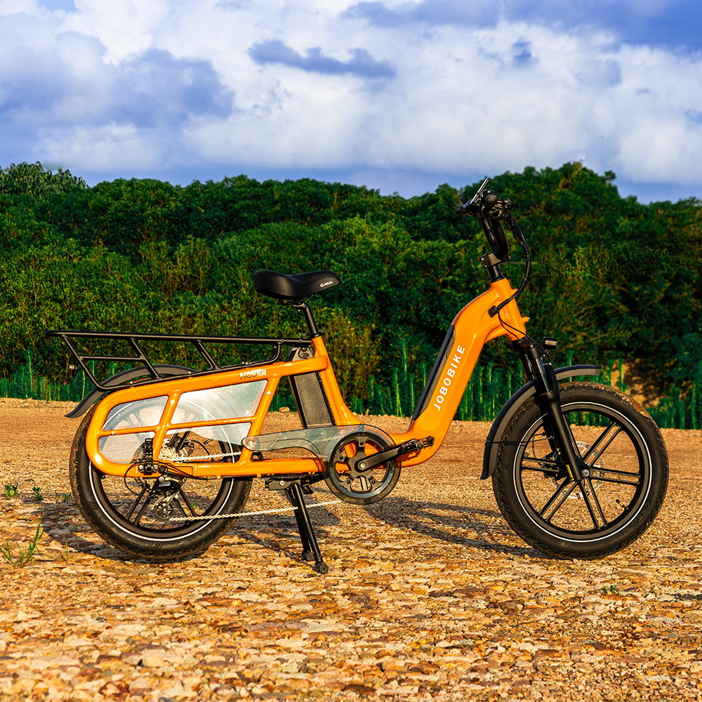 Long Tail Electric Bike Long Tail Electric Bike