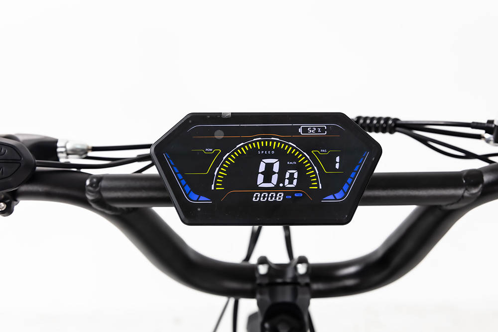 Why Choose This eBike