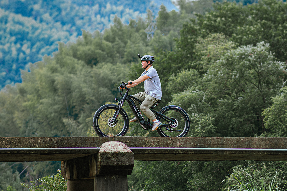 Why Choose This eBike