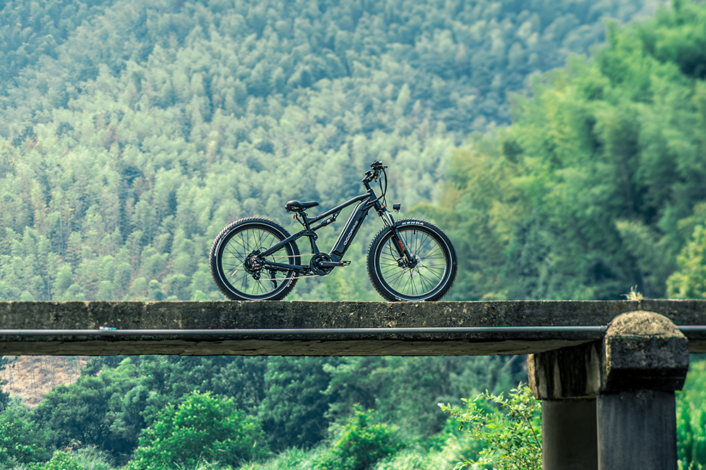 Why Choose This eBike