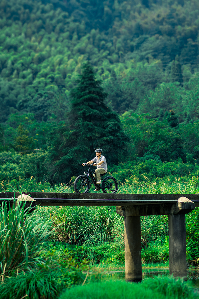 Why Choose This eBike