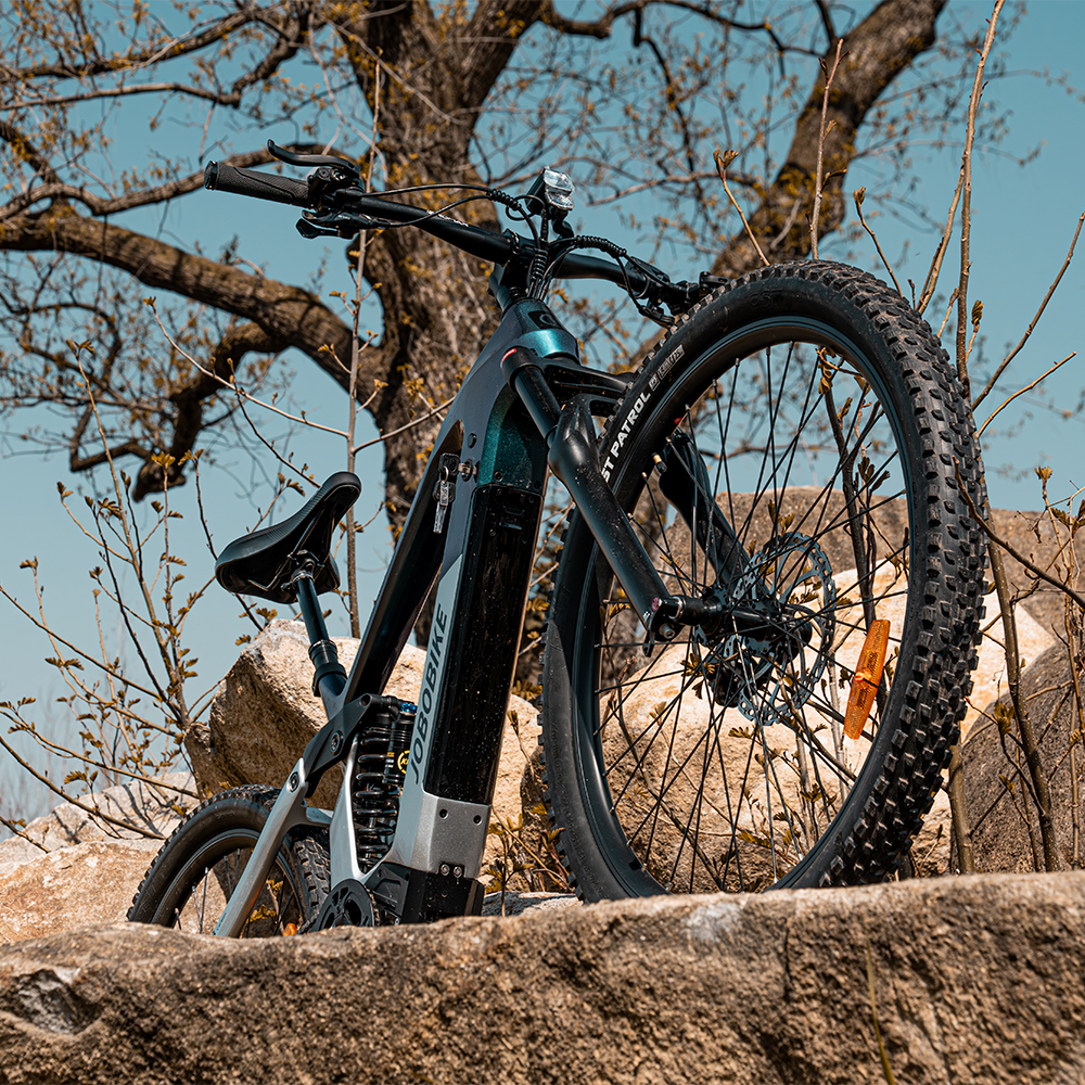 Work with an OEM Label E-Bike Manufacturer That Protects Your Brand and Delivers at Scale Work with an OEM Label E-Bike Manufacturer That Protects Your Brand and Delivers at Scale