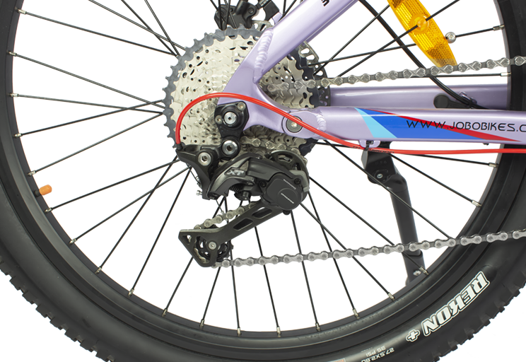 Why Choose This eBike