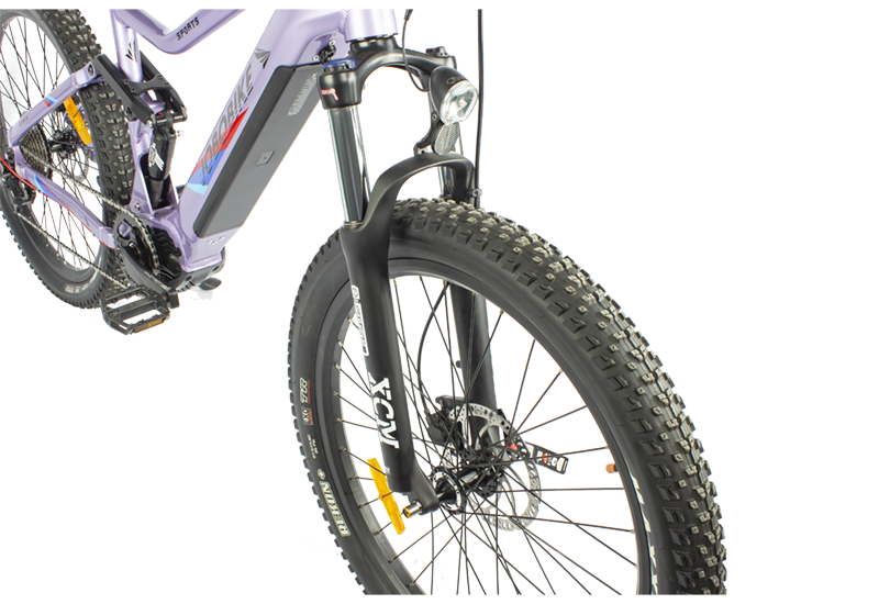 Why Choose This eBike