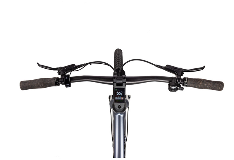 Why Choose This eBike