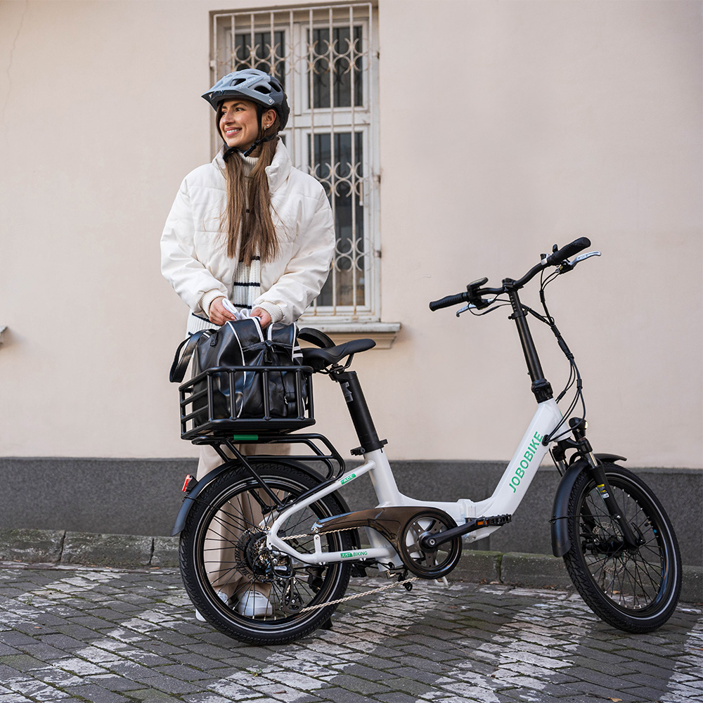 Electric Folding Bike Electric Folding Bike