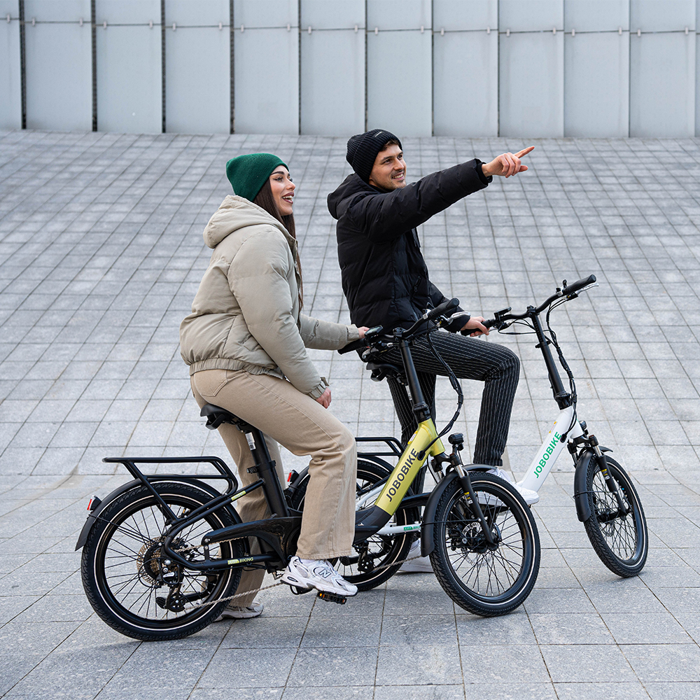 Electric Folding Bike Electric Folding Bike