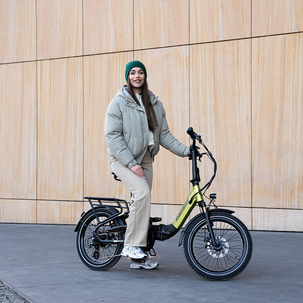 Electric Folding Bike Electric Folding Bike