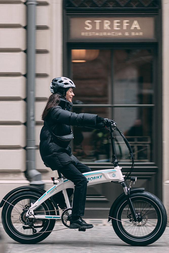 Why Choose This eBike