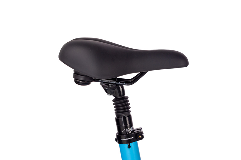 Why Choose This eBike