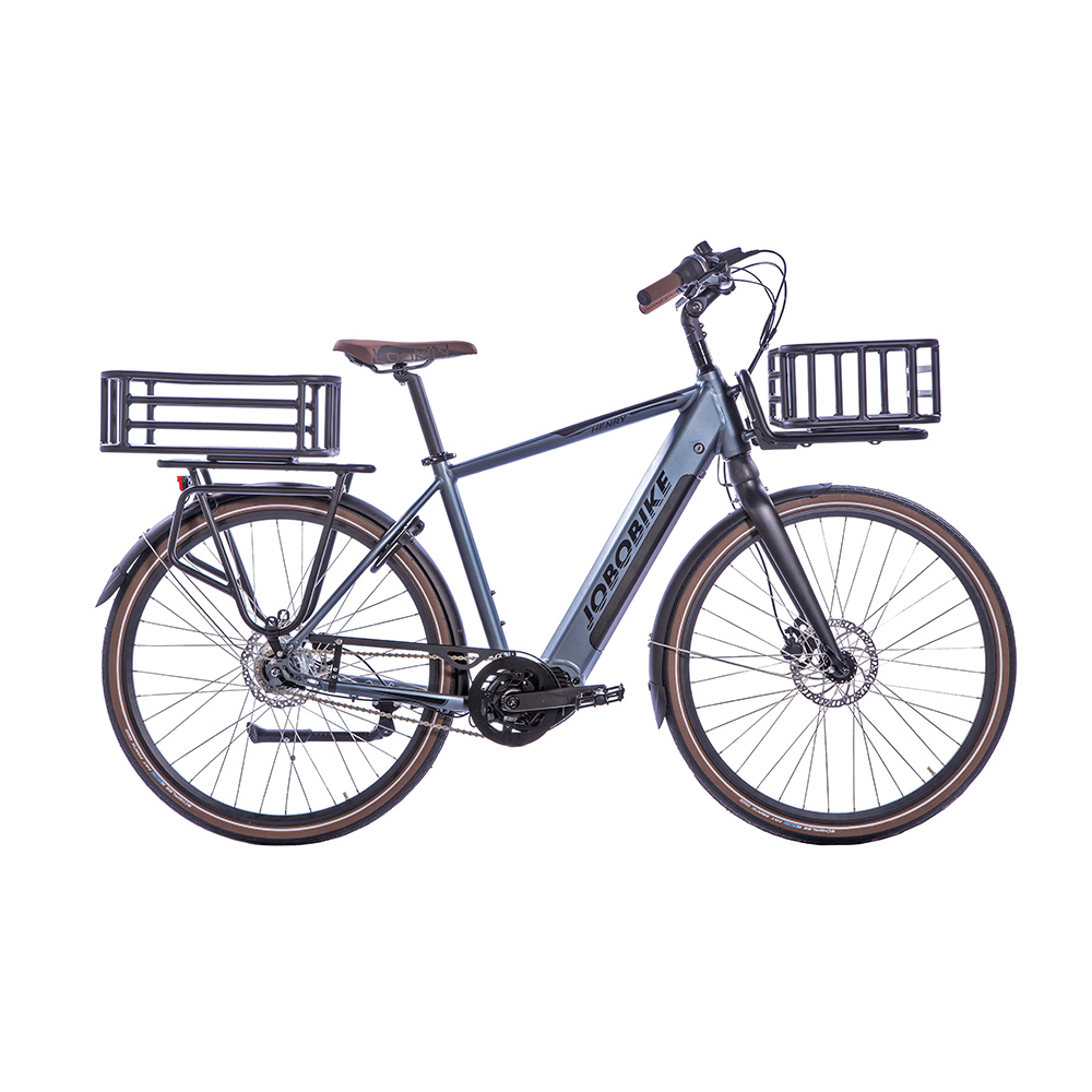 Urban Electric Bike Urban Electric Bike