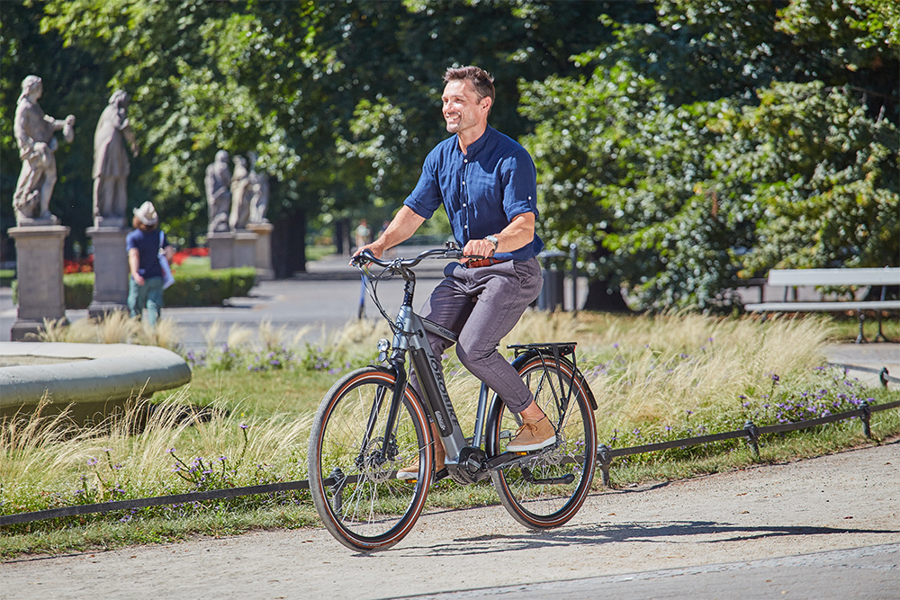 Why Choose This eBike