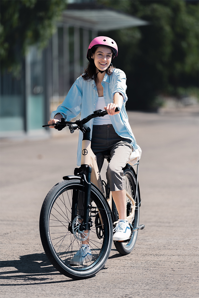 Why Choose This eBike