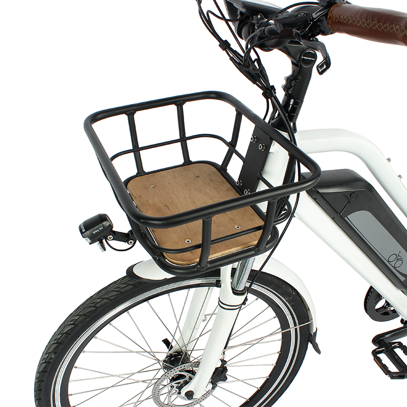 Why Choose This eBike