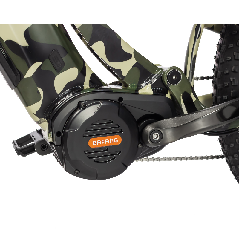 Why Choose This eBike