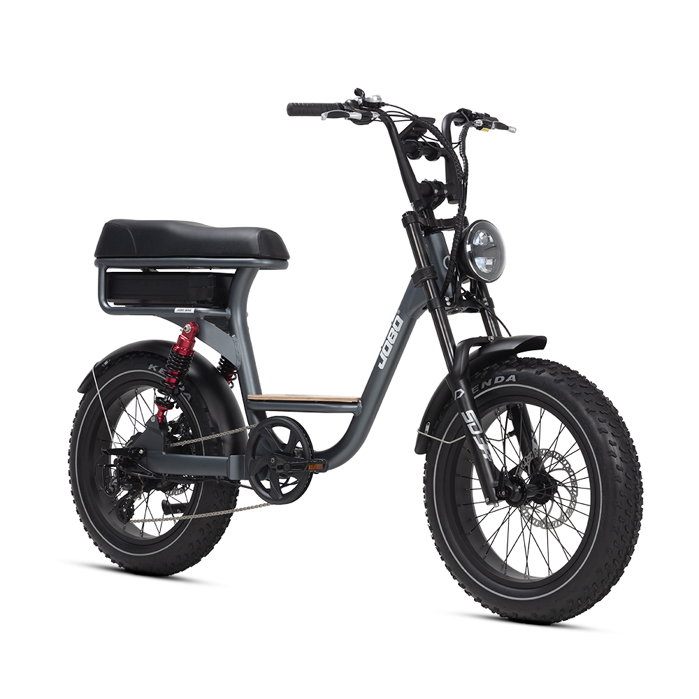 Fat Tire Electric Bicycle