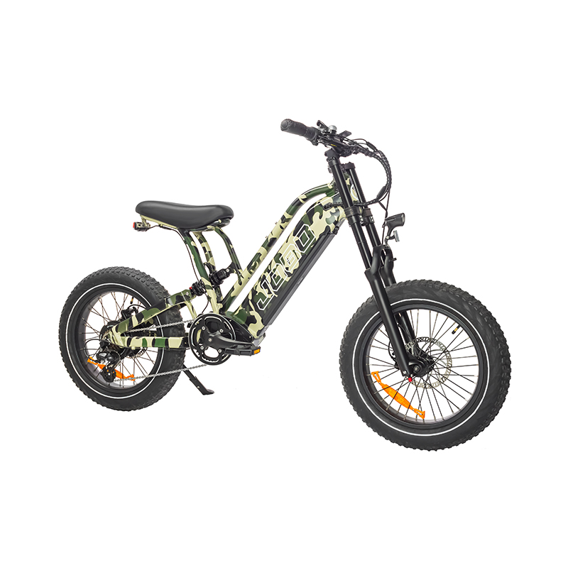 Fat Tire Electric Dirt Bike
