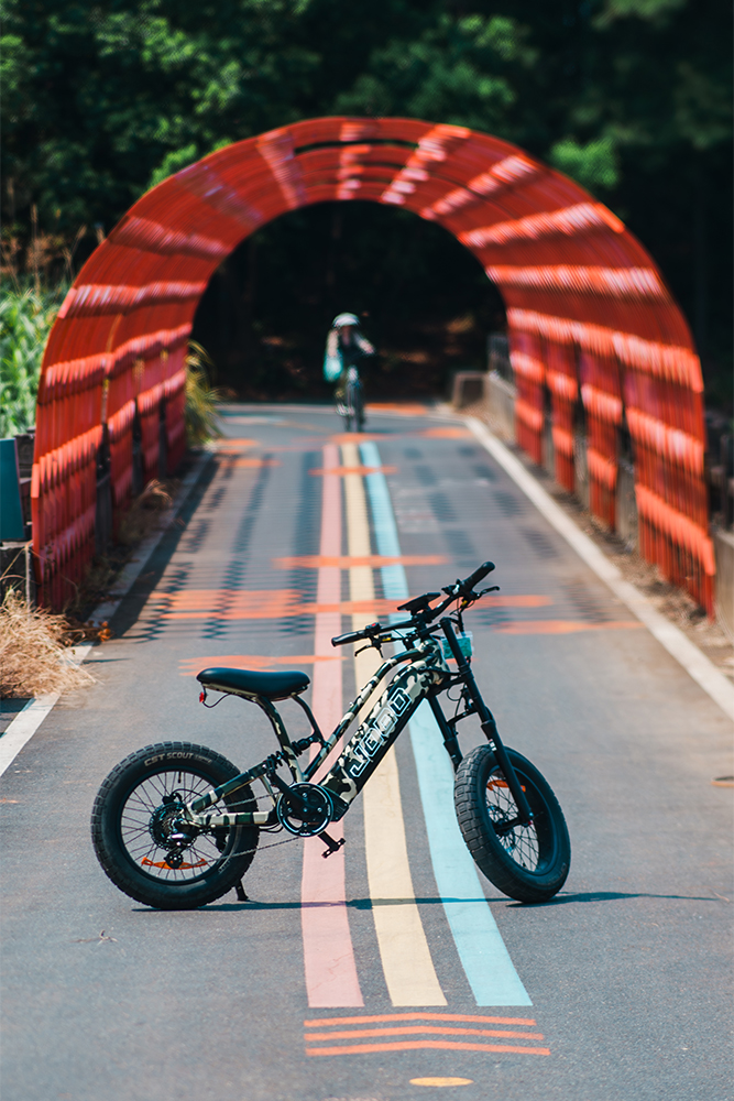 Why Choose This eBike