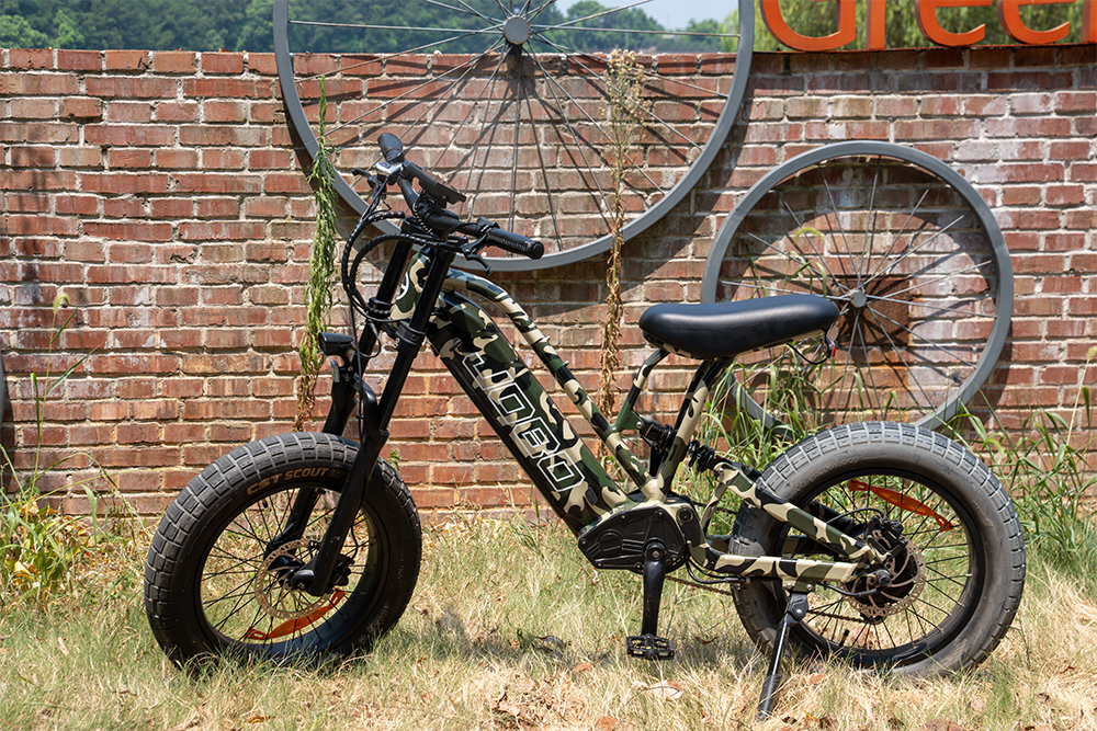 Why Choose This eBike