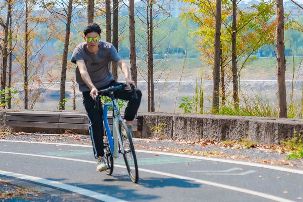 Why Choose This eBike