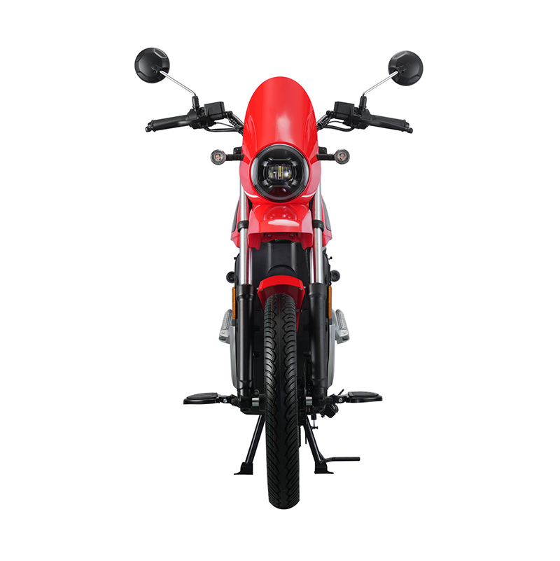 Why Choose This eBike
