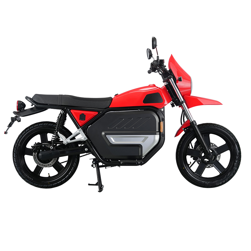 Why Choose This eBike