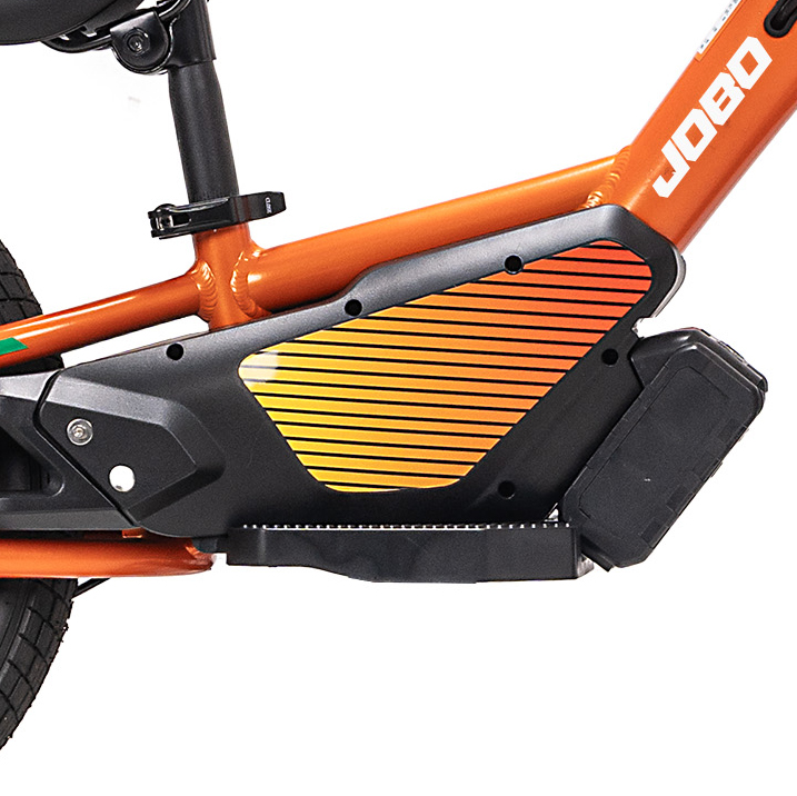 Why Choose This eBike