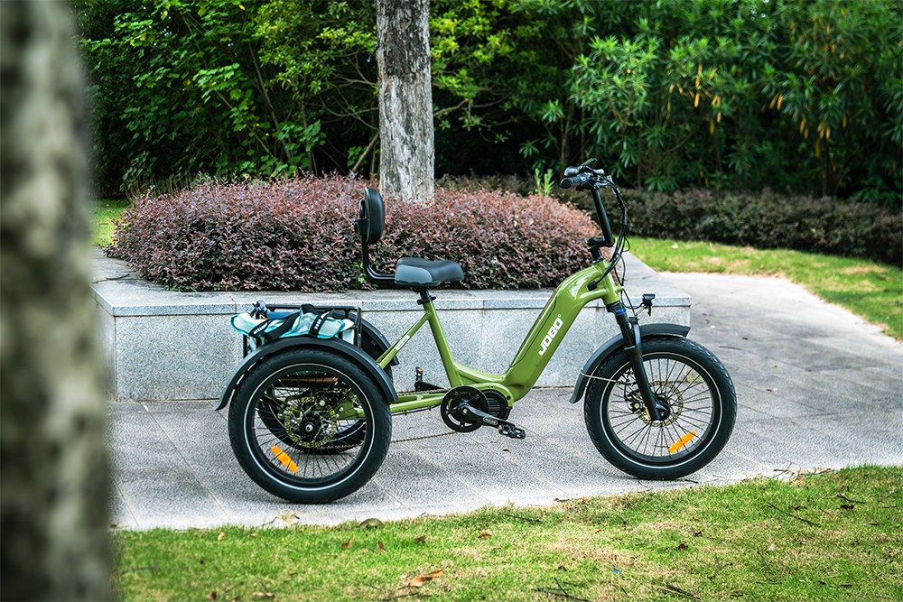Why Choose This eBike