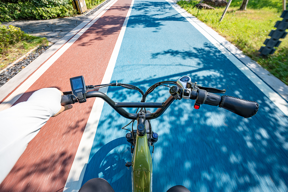 Why Choose This eBike