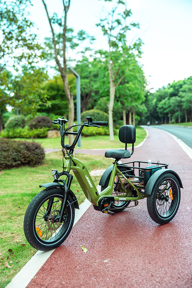 Why Choose This eBike