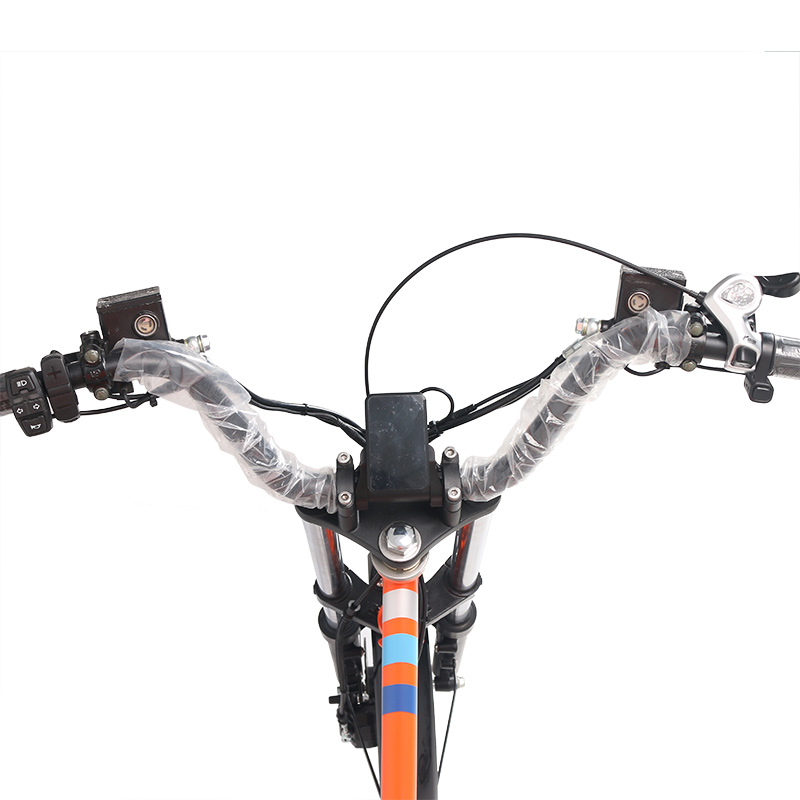 Why Choose This eBike