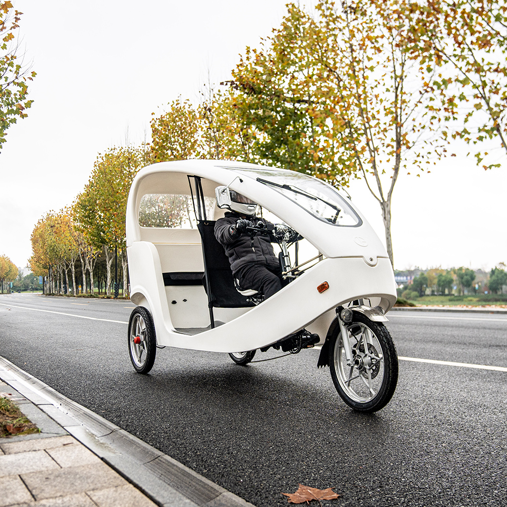 Revolutionize Urban Mobility with Shared Electric Pedicabs