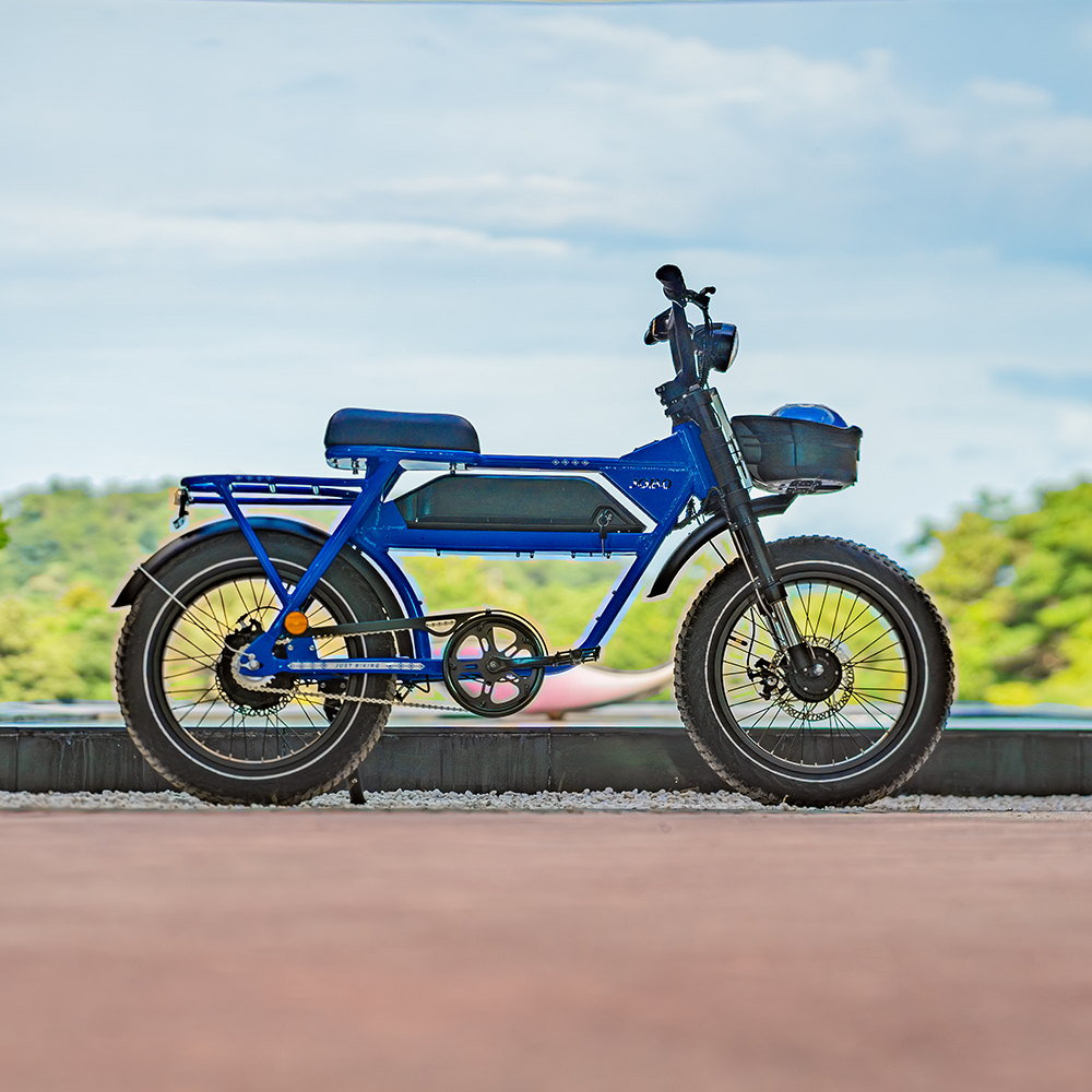 Shared Mobility E-Bike Shared Mobility E-Bike