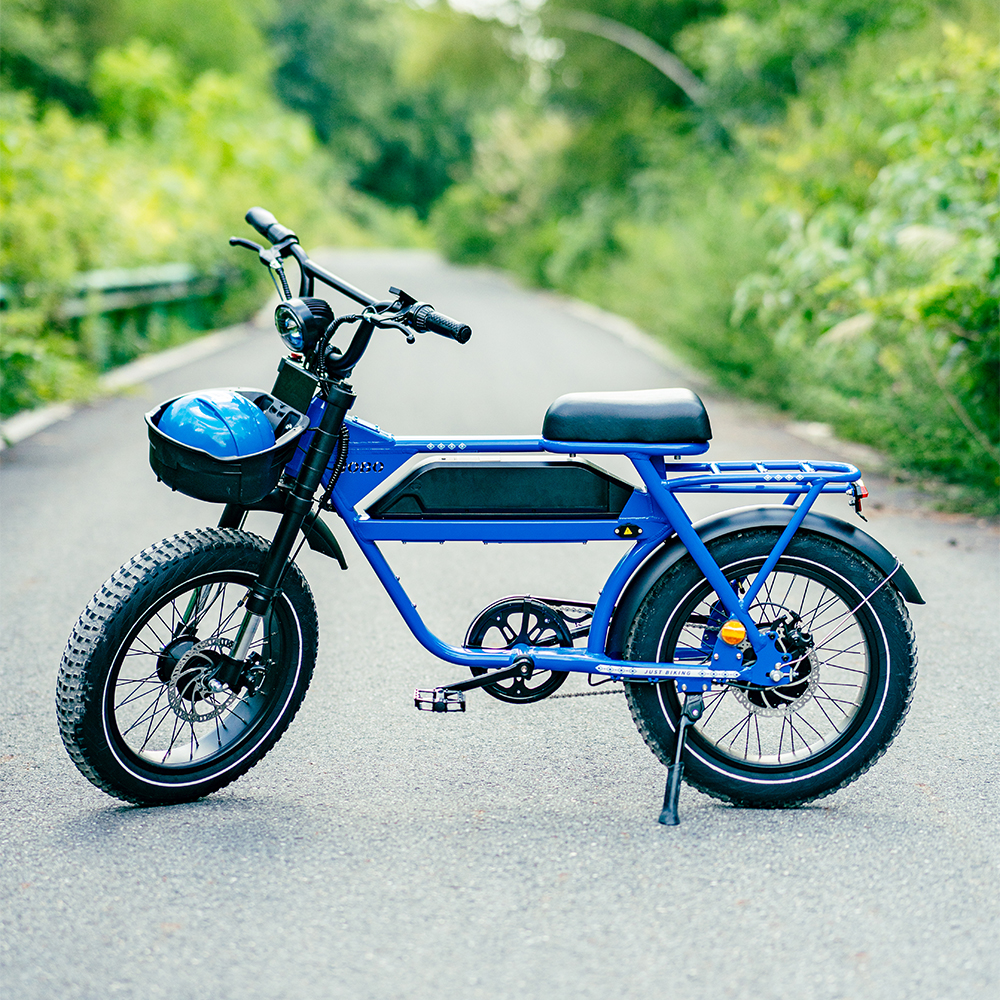 Shared Mobility E-Bike Shared Mobility E-Bike