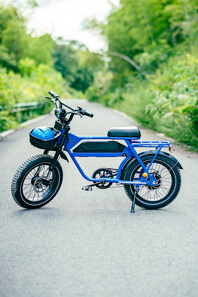 Why Choose This eBike