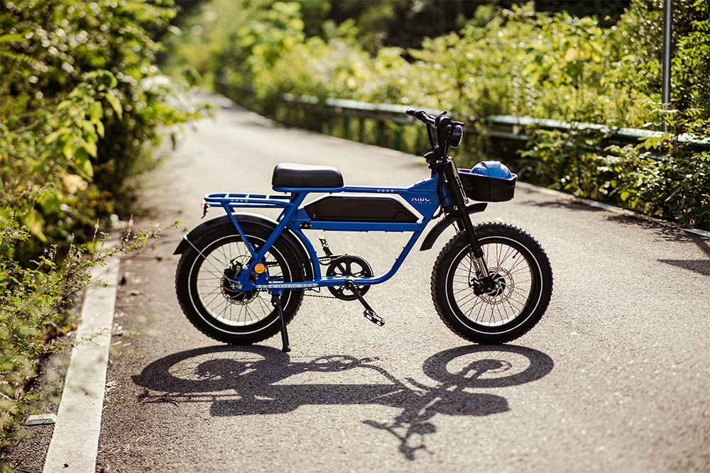 Why Choose This eBike