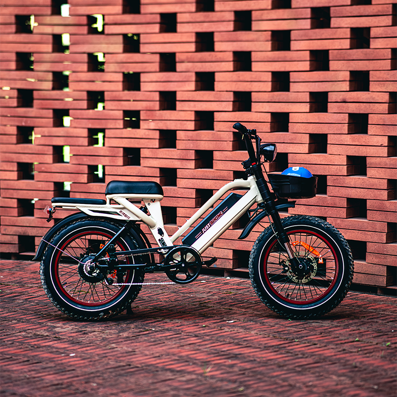 Smart Shared E-Bike Smart Shared E-Bike