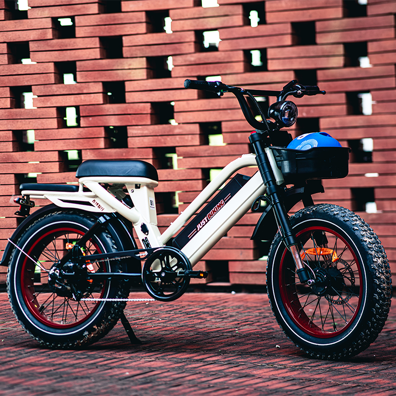 Smart Shared E-Bike Smart Shared E-Bike
